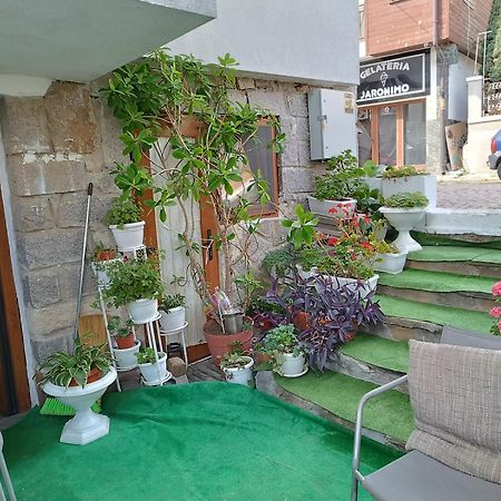 Farlalievi Guest House Σωζόπολη Εξωτερικό φωτογραφία