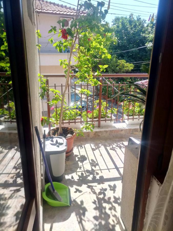 Farlalievi Guest House Σωζόπολη Εξωτερικό φωτογραφία